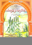 يَعْقُوبُ وَيُوسُفُ عليهما السلام